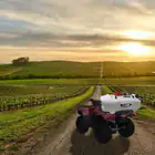 Pulverizador para ATV Donker de 100 litros con pistola pulverizadora y barra pulverizadora. - Pulverizador para ATV Donker de 100 litros con pistola pulverizadora y barra pulverizadora.